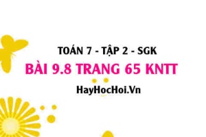 Bài 9.8 trang 65 Toán 7 Tập 2 Kết nối tri thức
